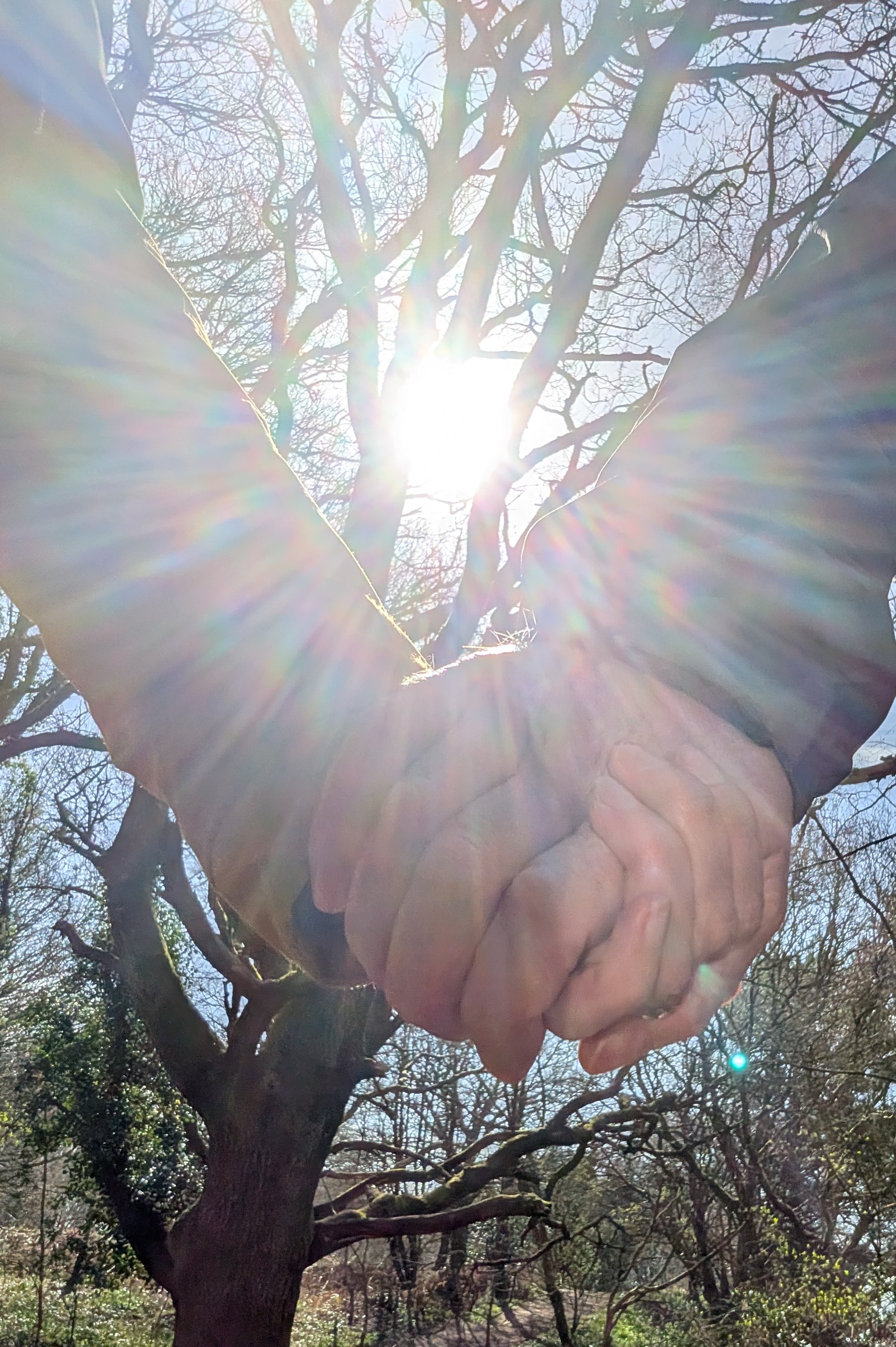 Two hands holding with the sun shining in the background behind some trees.